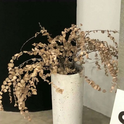 兽设清新风格设计福瑞交流群